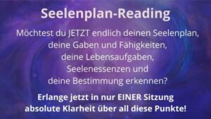 SEELENPLAN Reading