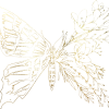 Butterfly_gold