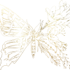 Butterfly_gold_scaled