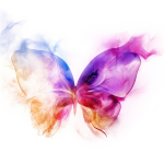 Butterfly_transparent